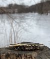 IMG_0879.jpeg