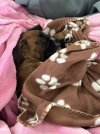 IMG_1874.jpeg