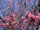 IMG_3018.jpeg