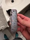 IMG_1979.jpeg