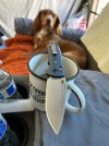 IMG_7266.jpeg