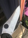 IMG_5278.jpeg