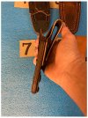 IMG_2025-02-17-203519.jpeg
