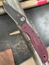 IMG_6248.jpeg