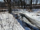 IMG_2102.jpeg