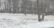 IMG_8271.jpeg