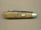 Salisbury bone maybe Holley old  (1).jpg
