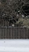 IMG_6040.png