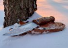 IMG_8334.jpeg