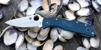 Spyderco Endela.jpg