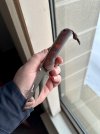 IMG_2067.jpeg