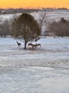 IMG_0770.jpeg