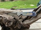IMG_0209.JPEG