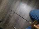 20250209_080732.jpg