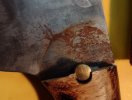 IMG_2335.jpeg