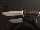 Busse TG Lacewood and SOB Proto.jpg