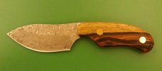 small damascus skinner with Waynes cocobolo handle material.jpg