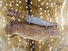 Ram's Horn 012.jpg