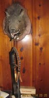 BK6 and bullwhip and javelina 1.jpg