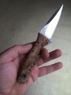ImageUploadedByTapatalk1403982728.583010.jpg