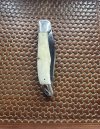 IMG_3523.jpeg