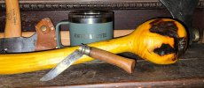 IMG_6810.jpeg