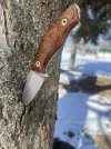 IMG_2826.jpeg