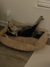 IMG_9575.jpeg