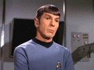 1740421738081.gif