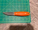 IMG_3487.jpeg