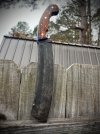 IMG_5343.jpeg