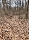 IMG_9157.jpeg