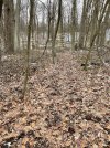 IMG_9151.jpeg