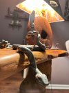 IMG_0817.jpeg
