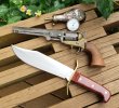 Wstern W49 Bowie.jpg