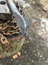 IMG_1890.JPEG
