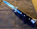 Switch Blade 1.jpg