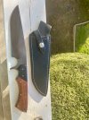 IMG_1351.jpeg