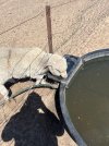 IMG_7602.jpeg