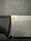 IMG_3245.jpeg IMG_3245.jpeg