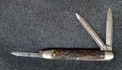 stag Senator001.jpg