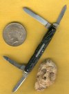Black stag pen.jpg