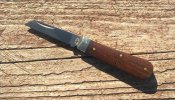 KIMG5600~2.JPG