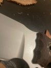 IMG_4194.jpeg