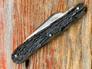 Whiting5.jpg