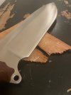 IMG_4201.jpeg