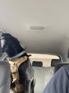 IMG_6579.jpeg