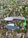 IMG_9196.jpeg
