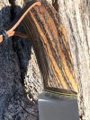 IMG_0778.jpeg