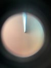 IMG_5117.jpeg
